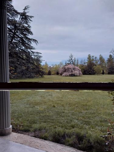 Vue brumeuse sur le jardin depuis la maison 