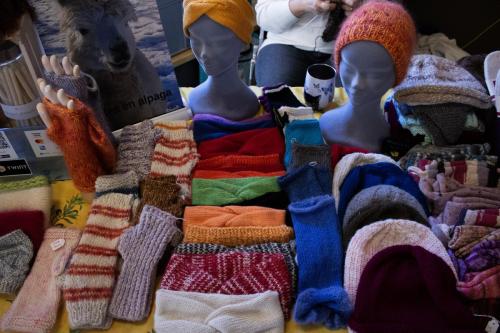 IMG 0096 (1)